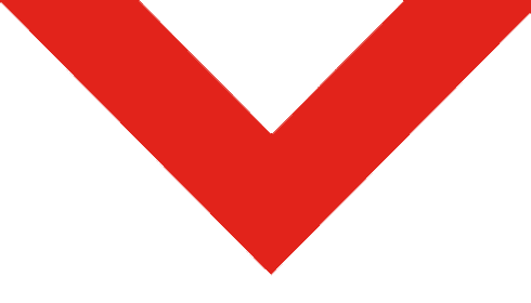 St George Illawarra Dragons