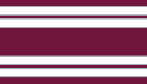 Manly Warringah Sea Eagles